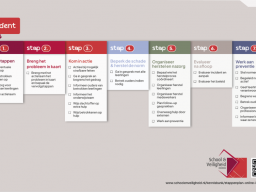 stappenplan online incidenten School & Veiligheid